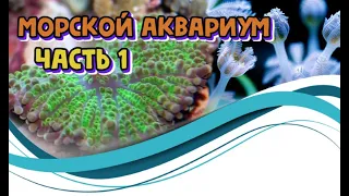 МОРСКОЙ АКВАРИУМ ЧАСТЬ 1