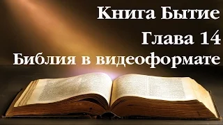 Видеобиблия. Бытие. Глава 14