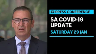 IN FULL: SA records 5 deaths from COVID-19 as cases fall again | ABC News