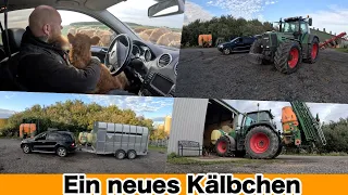 FarmVLOG#881 - Das musst du bei einem neuem Kalb alles bedenken / Pelletsofen läuft / Grubberumbau