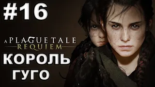 A Plague Tale Requiem ► #16 КОРОЛЬ ГУГО