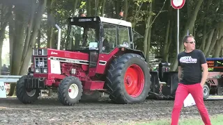 Farm Pulling Alfstedt 20 08 2022