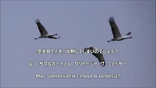 【和訳付き】鶴（ロシア民謡）"Журавли" - カナルビ付き