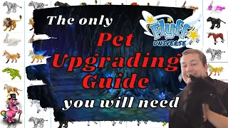Flyff Universe - Pet Guide all you need to know about raised Pets - Best MMO 2022