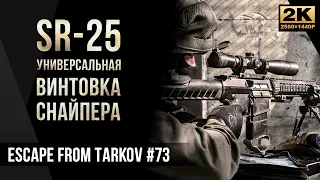 Универсальная винтовка снайпера SR-25 • Escape from Tarkov №73 [2K]