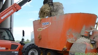 Unifeed Process || Fiat 110-90 + Seko tiger 240 + Manitou 935 turbo || By Edoagri20