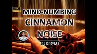 Mind-numbing Cinnamon Noise (12 Hours) BLACK SCREEN - Study, Sleep, Tinnitus Relief and Focus