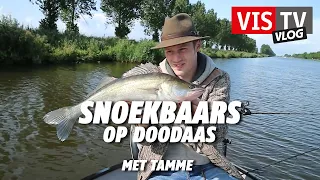 VIS TV Vlog #34 - Snoekbaars uit de boot met Tamme