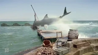 Empire Of The Sharks 2017  Beginning of the movie