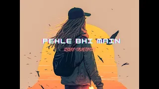 Pehle Bhi Main (Lofi Version) | Vishal Mishra | Animal | Lo-fi | Use Headphone For Better Experience