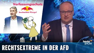 AfD: Der Verfassungsschutz beobachtet Bernd Höckes „Flügel“ | heute-show vom 20.03.2020