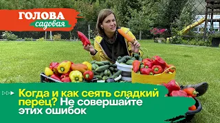 Голова садовая - Когда и как сеять сладкий перец? Не совершайте этих ошибок