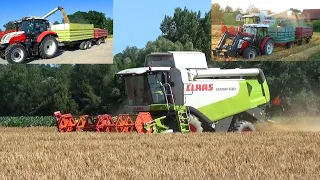 Žetev ječmena/ Claas LEXION 530/John deere/STEYR/ Barley harvest