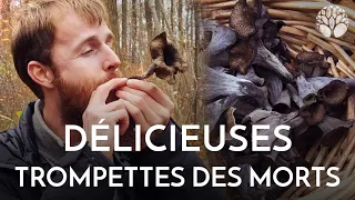 Délicieuses trompettes de la mort !