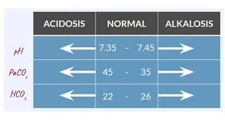 Arterial Blood Gas Analysis