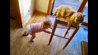 Baby und Katzen Part 2 Spielen zusammen sehr Süß die kleinen Kinder und die Tiere total lustig