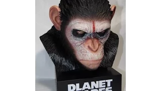 Planet Apes Caesar Head-az Unboxing