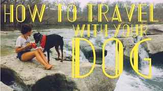 NOMAD TIPS! - Top 5 Hacks to Traveling With a Dog