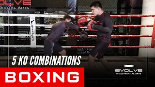 Boxing | 5 KO Combinations | Evolve University