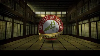 Sifu Sapir Tal - Southern Praying Mantis Kung Fu | Part 1