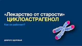 Как работает «лекарство от старости» циклоастрагенол