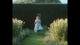 The beauty of Alice in Wonderland