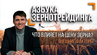 Какие внешние факторы влияют на цену зерна в Украине | Азбука зернотрейдинга | Элеваторист