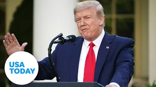 President Trump holds briefing on coronavirus testing | USA TODAY