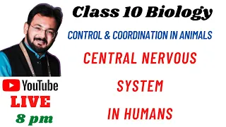 Central Nervous System (CNS) | Control & Coordination in Animals | Class 10 | Biology | CBSE