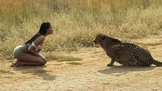 Una Chica se Reencuentra con su León Mascota Después de 7 AÑOS...