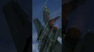 INTENSE Dogfight between an F-15 and Su-27