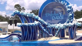 Dolphin Days - Dolphin Show @ Sea World Orlando