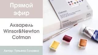 Прямой эфир: обзор акварели Winsor&Newton Cotman