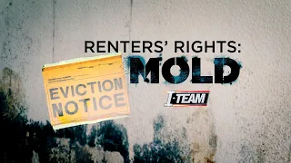 Renters’ Rights: What to do if you have mold where you live