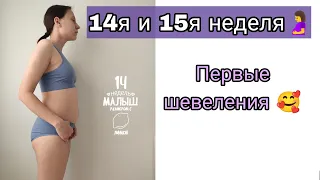 Первые Шевеления❤ | Растяжки | Моё Самочувствие |14 я и 15 я Неделя Беременности🤰