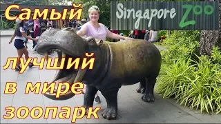 Самый лучший в мире зоопарк. Singapour Zoo.