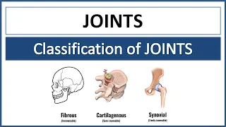 Joints | 3 Types of Joints - Fibrous, Cartilagenous and Synovial Joints | 6 Types of Synovial Joints