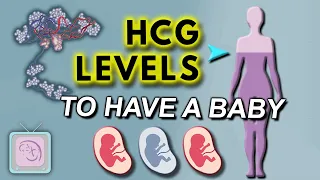 hCG levels in early pregnancy -  Does hCG have to double in 2 days?