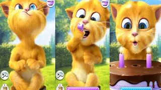 my taking ginger 🐈‍⬛🐈🐈‍⬛🐈😾😸🙀😻😽😼😺😹🐈‍⬛🐈🐈‍⬛ funny ginger#ginger #android #youtube