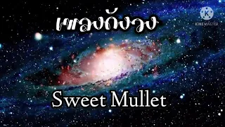 เพลงดังๆ วง Sweet Mullet