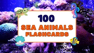 Sea Animals Flashcards for Kids - Fun and Educational Learning!