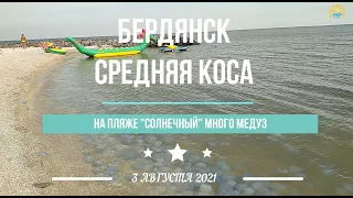 БЕРДЯНСК: Средняя Коса. На пляже "Солнечный" медуз много. 3 Августа 2021.