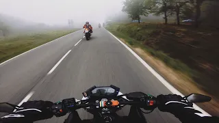 Foggy day || Z800 - SC Project - 4K