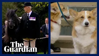 Queen’s corgis and pony wait at Windsor Castle for funeral procession