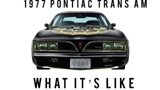 1977 Pontiac trans am RPO Y82 AKA Bandit review