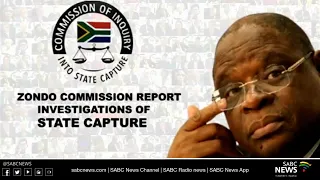 State Capture  Commission and Democracy In Action court case