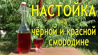 НАСТОЙКА на чёрной и красной смородине. Настойка на водке. Домашняя настойка, рецепт.