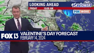 Tampa weather | early cold temperatures see quick warmup on Feb. 14, 2024