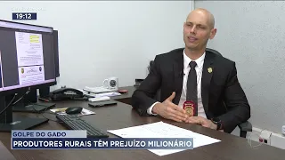 GOLPE DO GADO: PRODUTORES RURAIS TÊM PREJUÍZO MILIONÁRIO