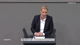 Alice Weidel (AfD) in der Generaldebatte am 27.11.19